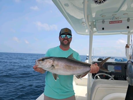 Amberjack Fishing in Panama City, Florida