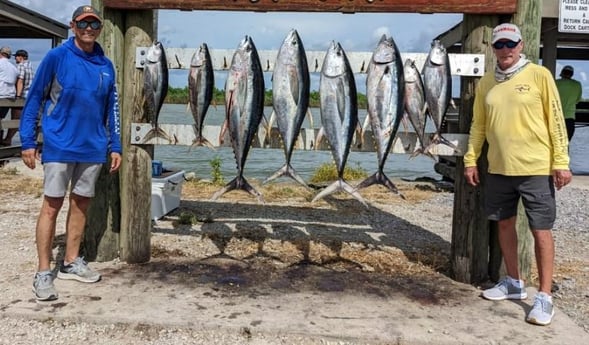 Yellowfin Tuna fishing in Venice, Loisiana