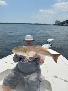 Fishing in Panama City, Florida