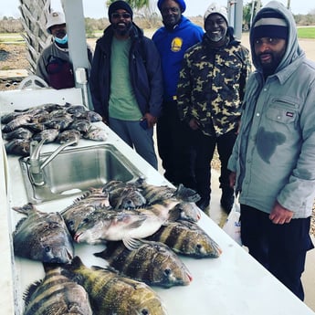 Sheepshead fishing in Galveston, Texas