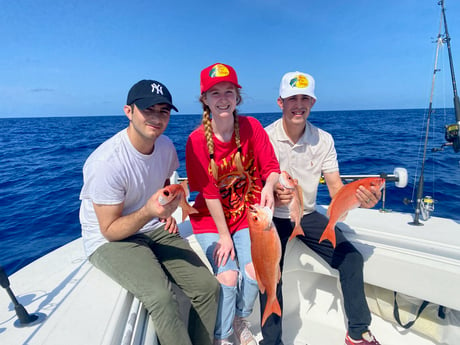 Vermillion Snapper Fishing in Key West, Florida