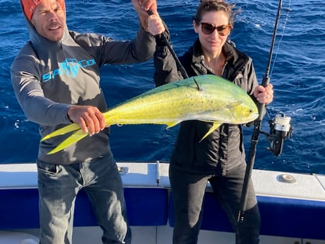 Mahi Mahi / Dorado fishing in West Palm Beach, Florida