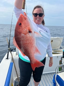 Red Snapper Fishing in Destin, Florida