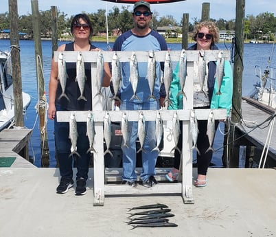 Spanish Mackerel fishing in Panama City, Florida