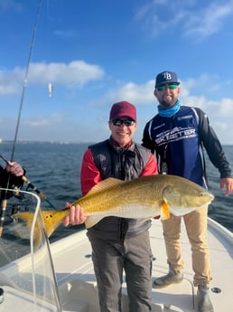 Redfish Fishing in Pensacola, Florida