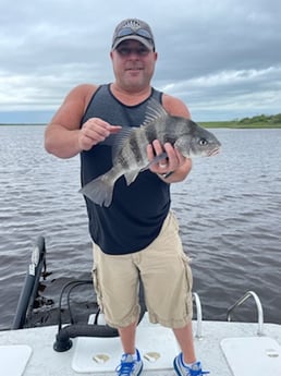 Black Drum fishing in Rockport, Texas