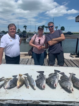 Black Drum, Speckled Trout / Spotted Seatrout fishing in Galveston, Texas