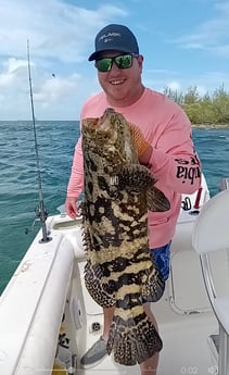 Goliath Grouper fishing in Key West, Florida