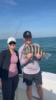 Sheepshead Fishing in Hilton Head Island, South Carolina