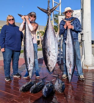 Wahoo, Yellowfin Tuna Fishing in Boothville-Venice, Louisiana
