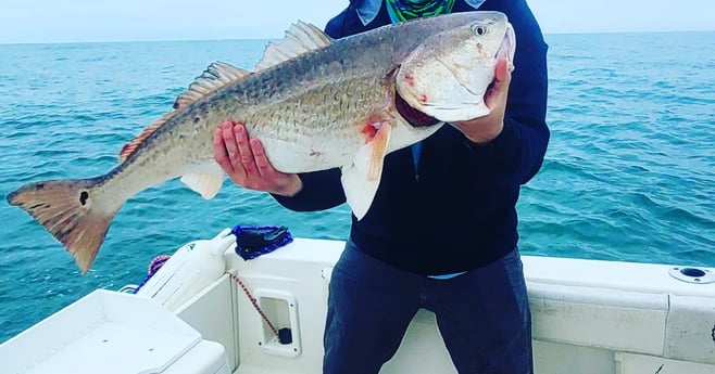 Red Snapper, Redfish fishing in South Padre Island, Texas