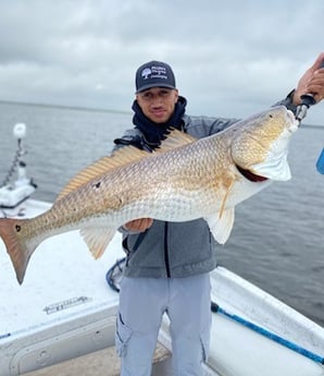 Redfish Fishing in Galveston, Texas