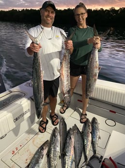 King Mackerel / Kingfish fishing in Islamorada, Florida