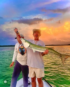 Barracuda fishing in Islamorada, Florida