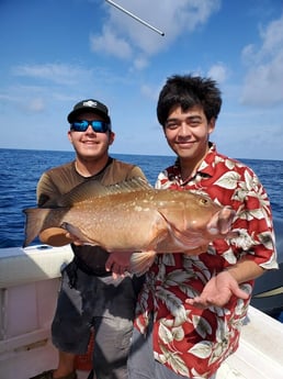 Red Grouper fishing in Clearwater, Florida