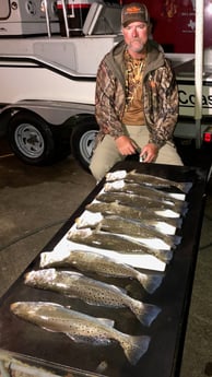 Speckled Trout / Spotted Seatrout fishing in Surfside Beach, Texas