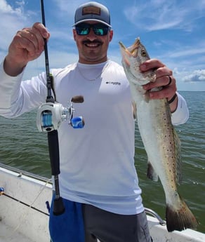 Speckled Trout / Spotted Seatrout fishing in Galveston, Texas