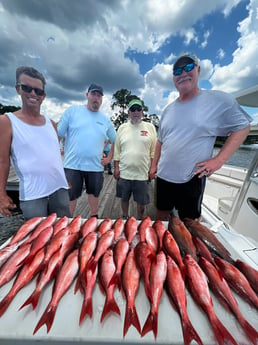 Red Snapper fishing in Pensacola, Florida