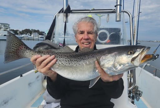 Speckled Trout / Spotted Seatrout Fishing in Trails End Road, Wilmington, N, North Carolina