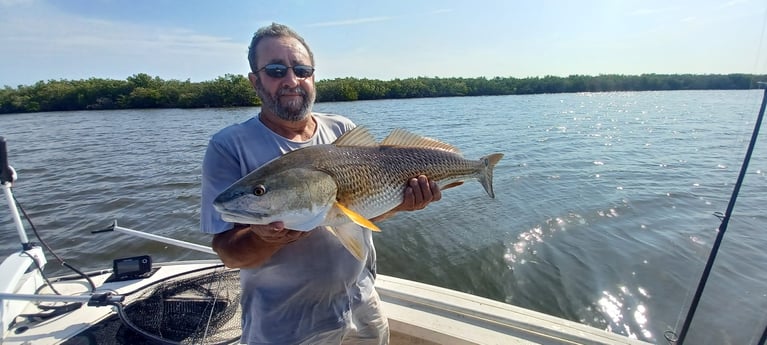 Redfish Fishing in Port Orange, Florida