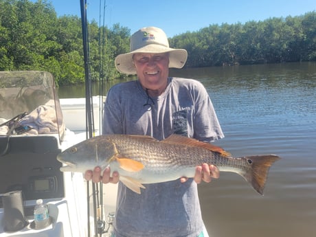 Redfish Fishing in Clearwater, Florida