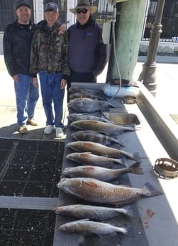 Black Drum, Redfish, Speckled Trout / Spotted Seatrout fishing in Sulphur, Louisiana