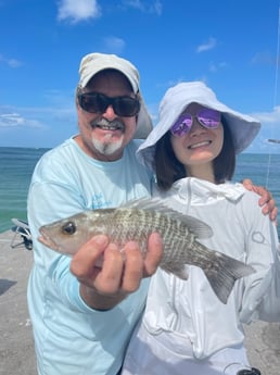 Fishing in Sarasota, Florida