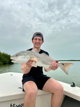 Redfish Fishing in Islamorada, Florida