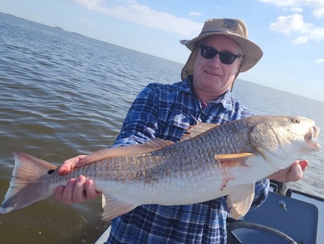 Redfish Fishing in Galveston, Texas