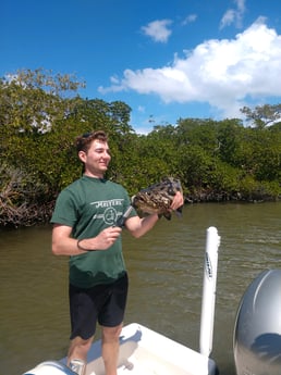 Goliath Grouper fishing in Naples, Florida