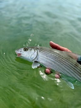 Fishing in Islamorada, Florida