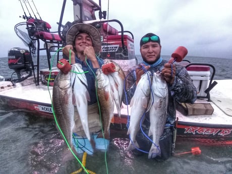 Redfish, Speckled Trout / Spotted Seatrout fishing in Rio Hondo, Texas