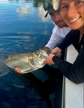 Tarpon Fishing in Miami Beach, Florida