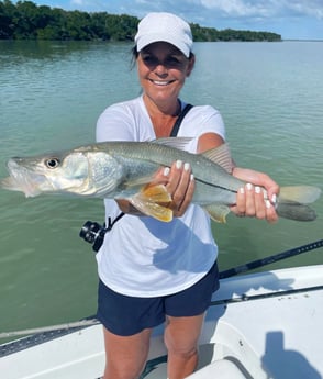 Snook fishing in Tavernier, Florida