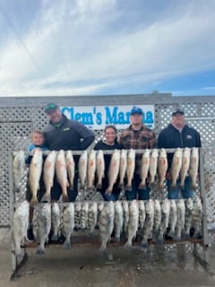 Black Drum, Redfish Fishing in Corpus Christi, Texas