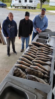 Black Drum, Redfish, Sheepshead Fishing in Golden Meadow, Louisiana