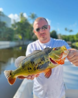 Fishing in Delray Beach, Florida