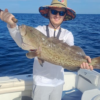 Gag Grouper fishing in Destin, Florida