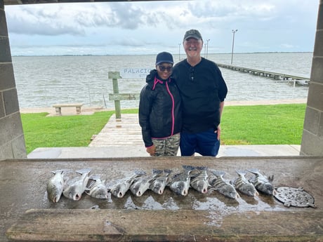 Black Drum, Speckled Trout Fishing in Palacios, Texas