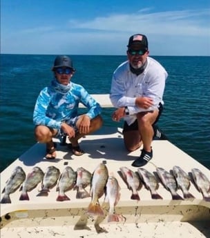 Black Drum, Redfish fishing in South Padre Island, Texas