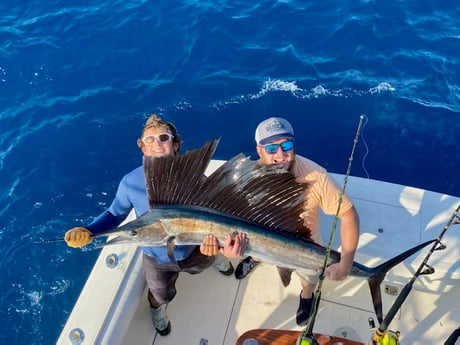 Sailfish Fishing in Key West, Florida