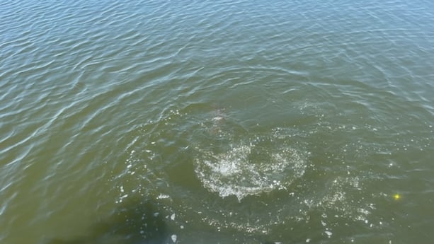 Redfish fishing in Santa Rosa Beach, Florida