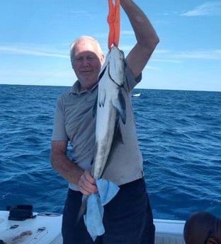 Cobia fishing in Wrightsville Beach, North Carolina