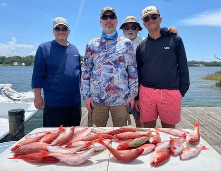 Red Snapper Fishing in Pensacola, Florida