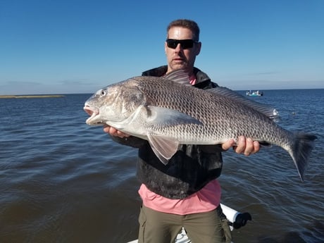 Black Drum fishing in Sulphur, Louisiana