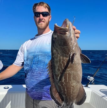 Black Grouper Fishing in Marathon, Florida