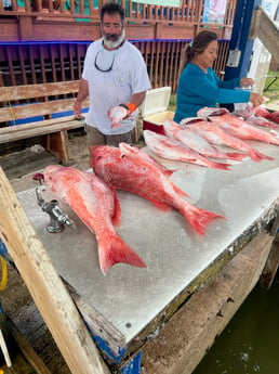 Red Snapper Fishing in Port Isabel, Texas