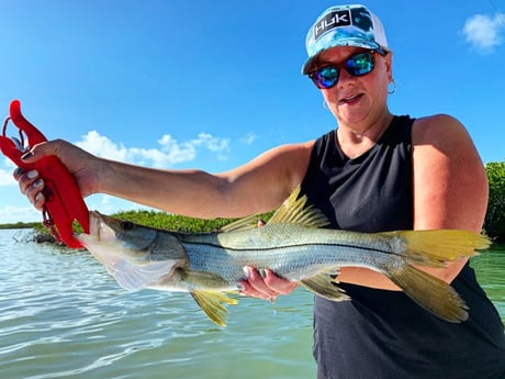 Snook Fishing in Key Largo, Florida