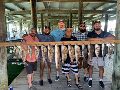 Black Drum, Redfish fishing in Port O&#039;Connor, Texas