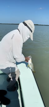 Snook Fishing in Islamorada, Florida